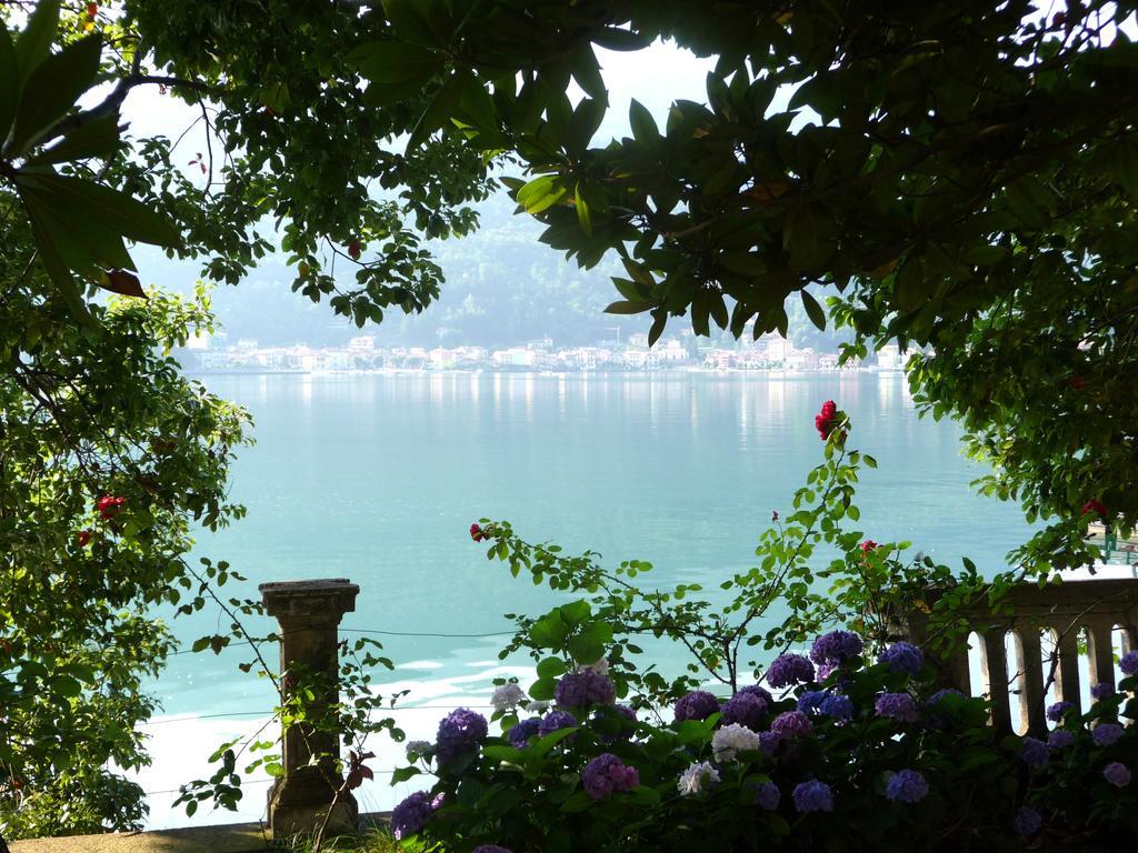 Residence Ville Lago Lugano Porto Ceresio Eksteriør billede